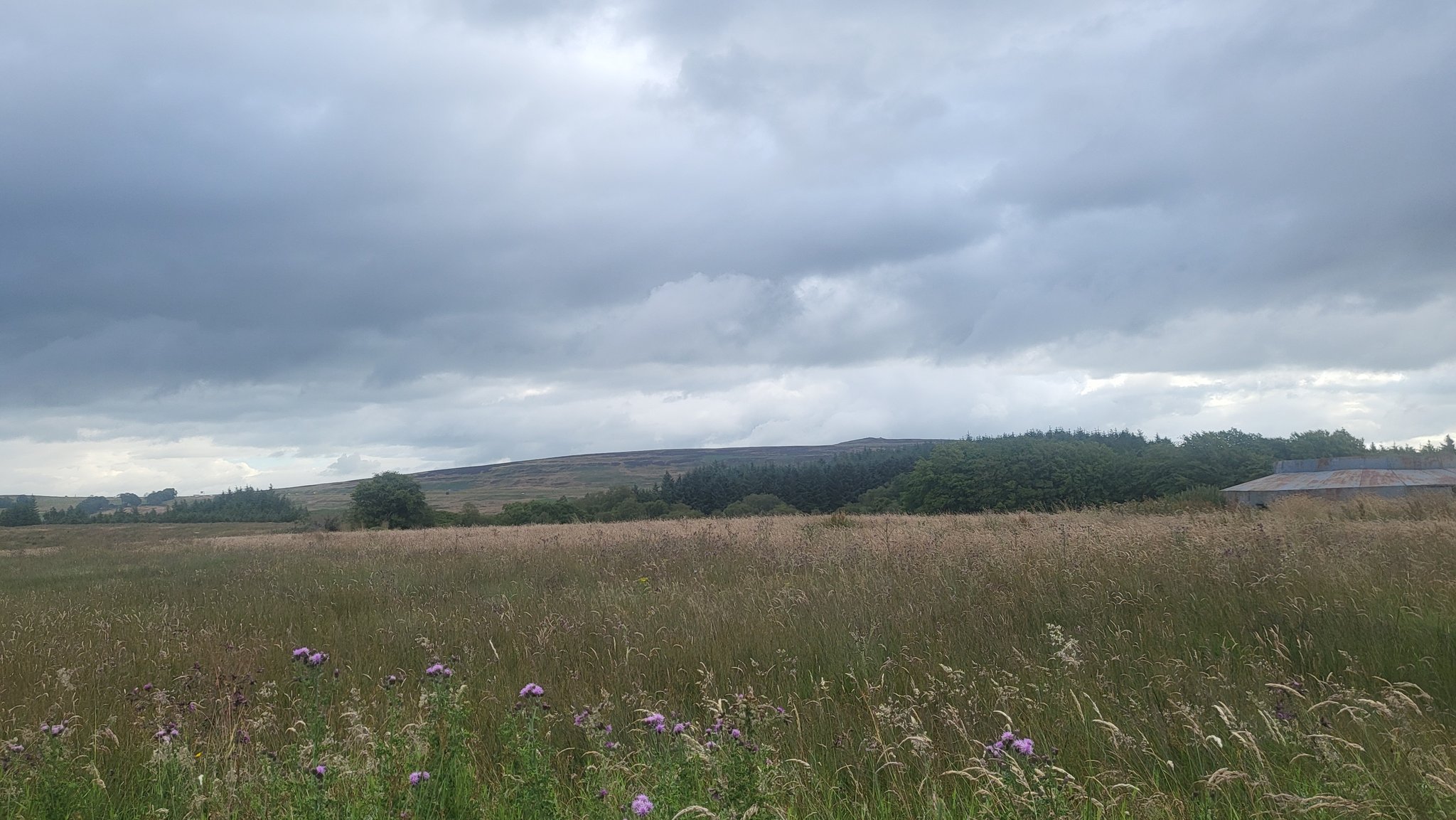 Moors with motorway in distance